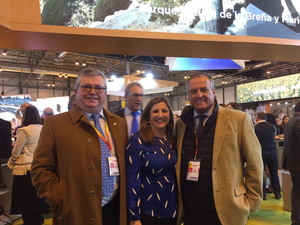 Fitur 2019