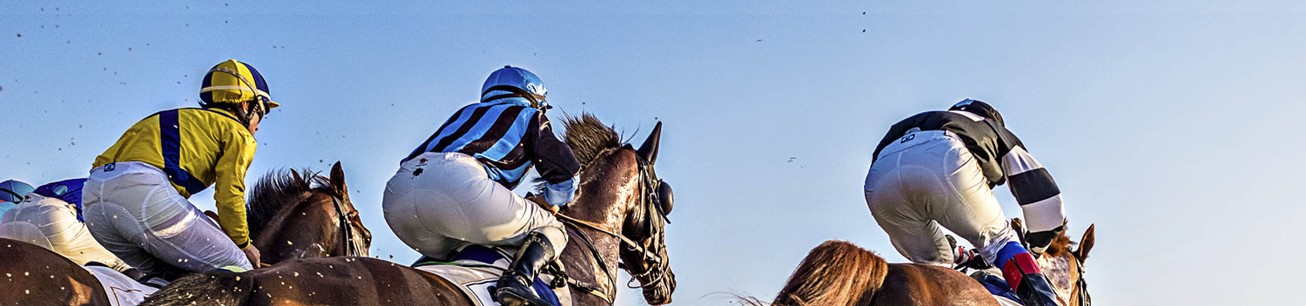 Carreras de caballos en la playa