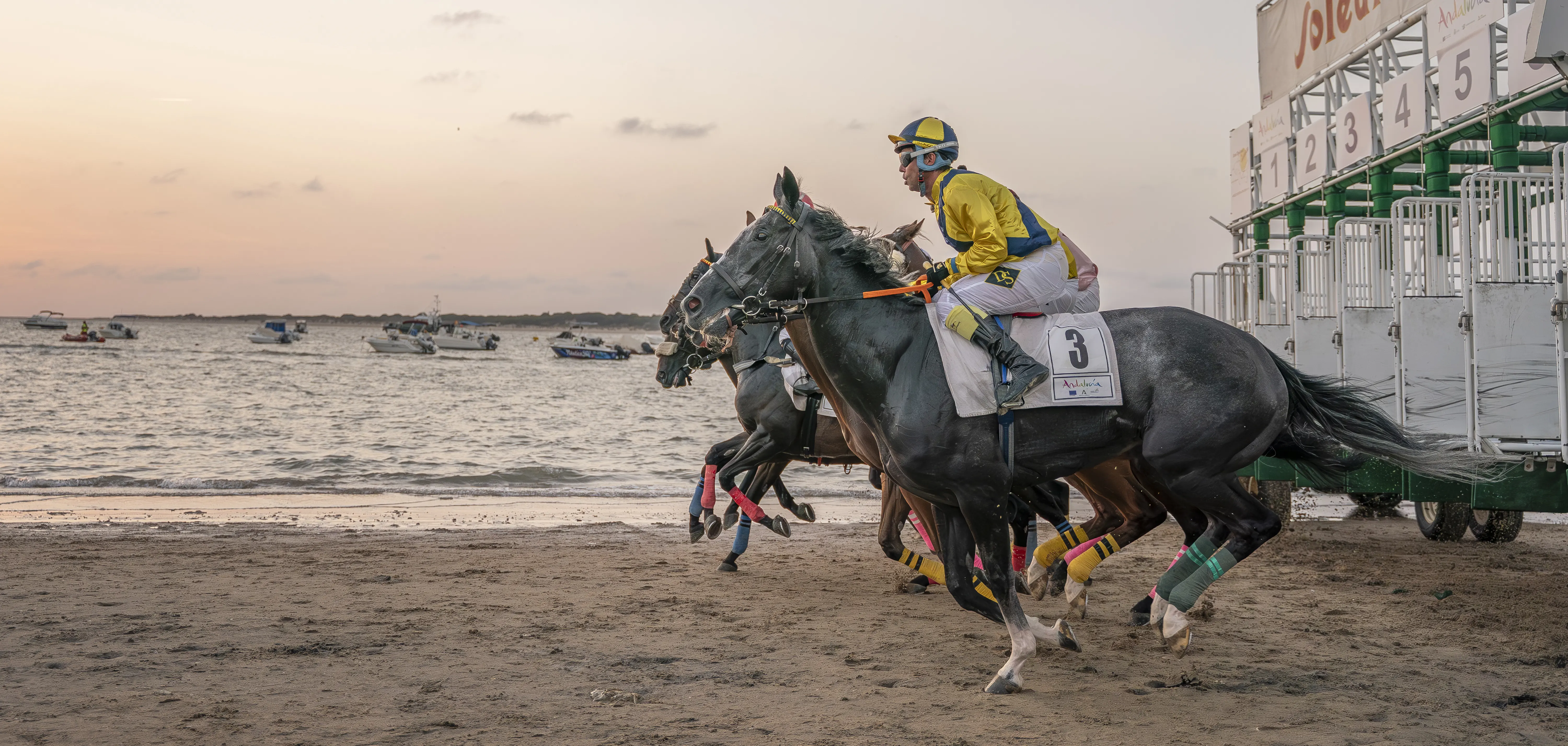 Carreras de caballos Sanlúcar de Barrameda