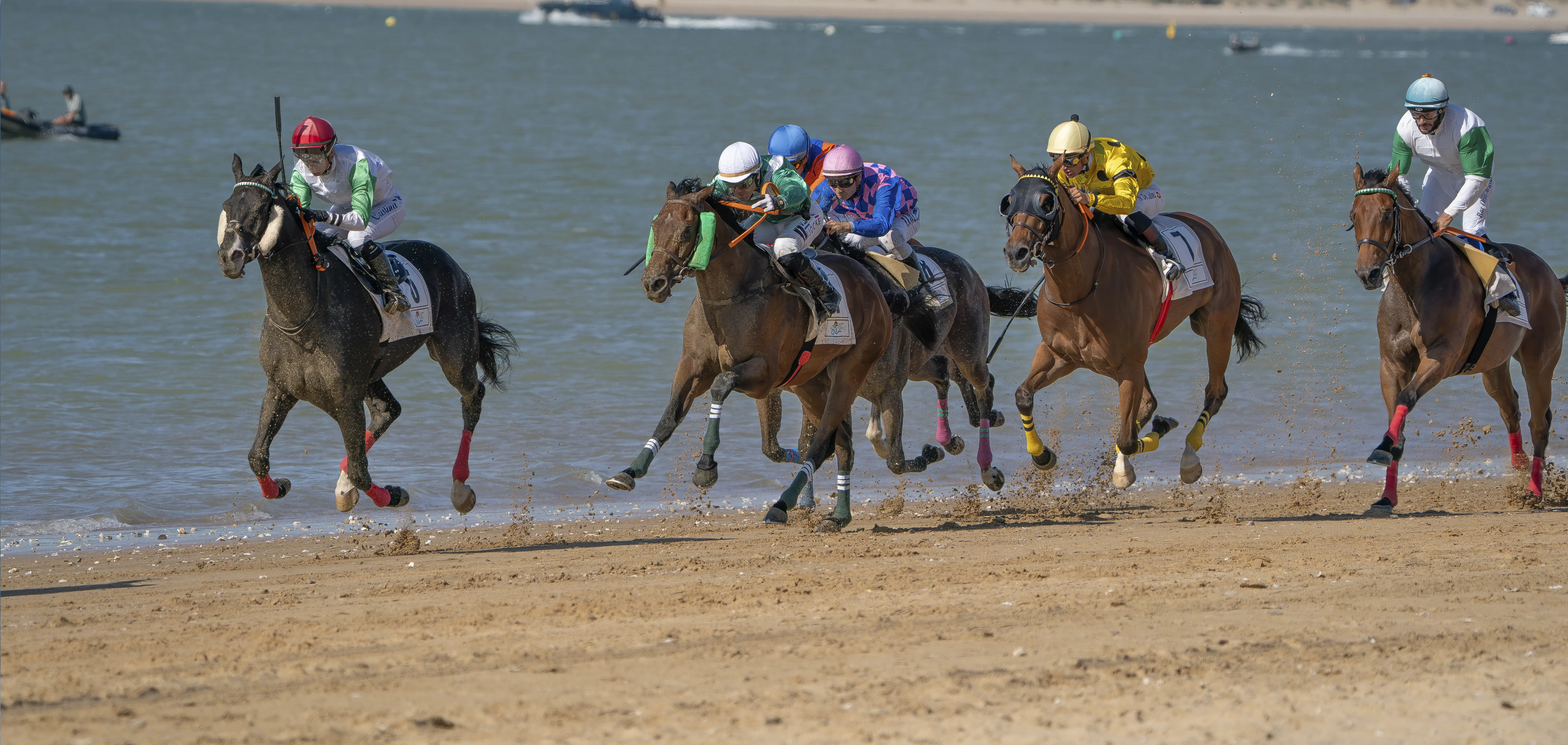 Carreras de caballos Sanlúcar de Barrameda