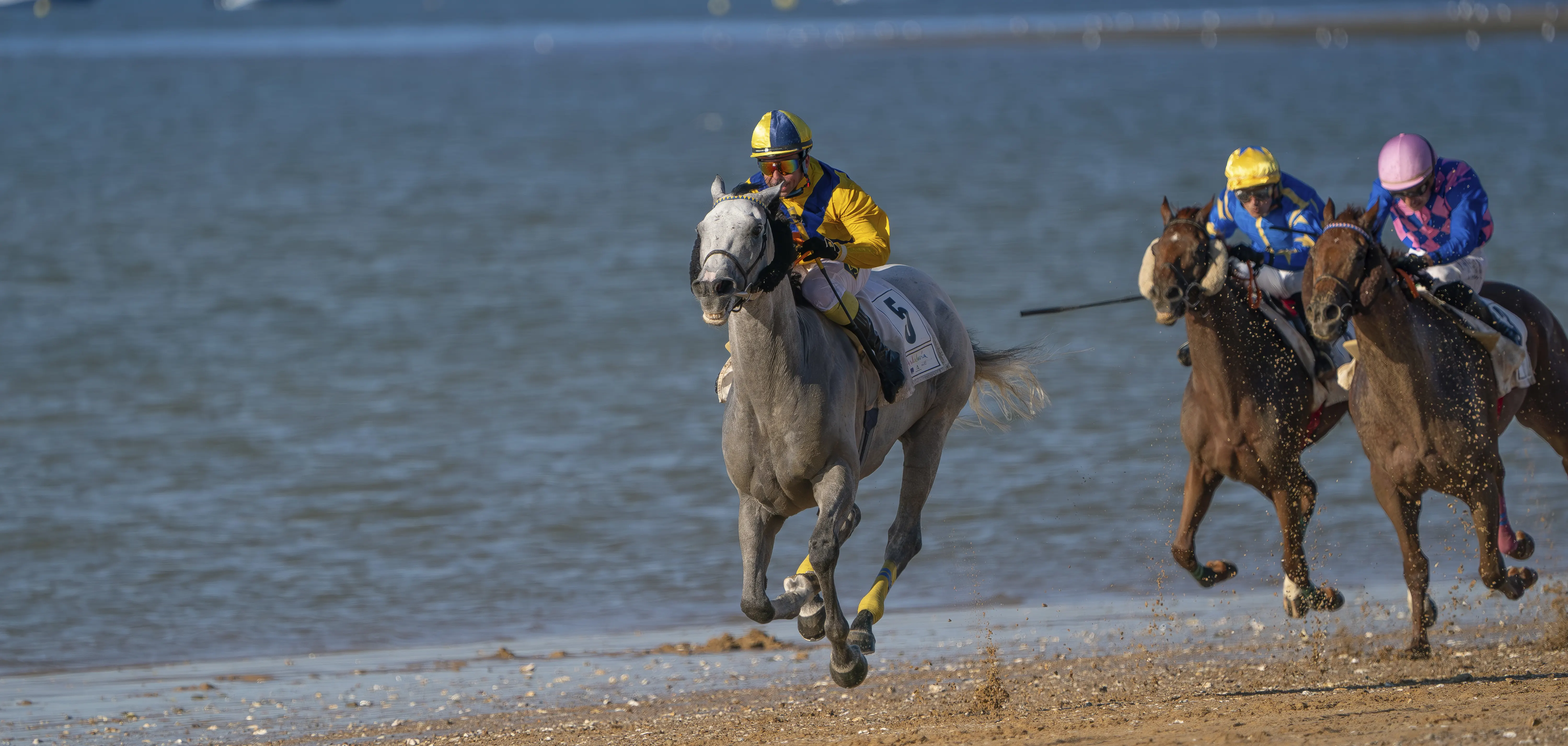 Carreras de caballos Sanlúcar de Barrameda